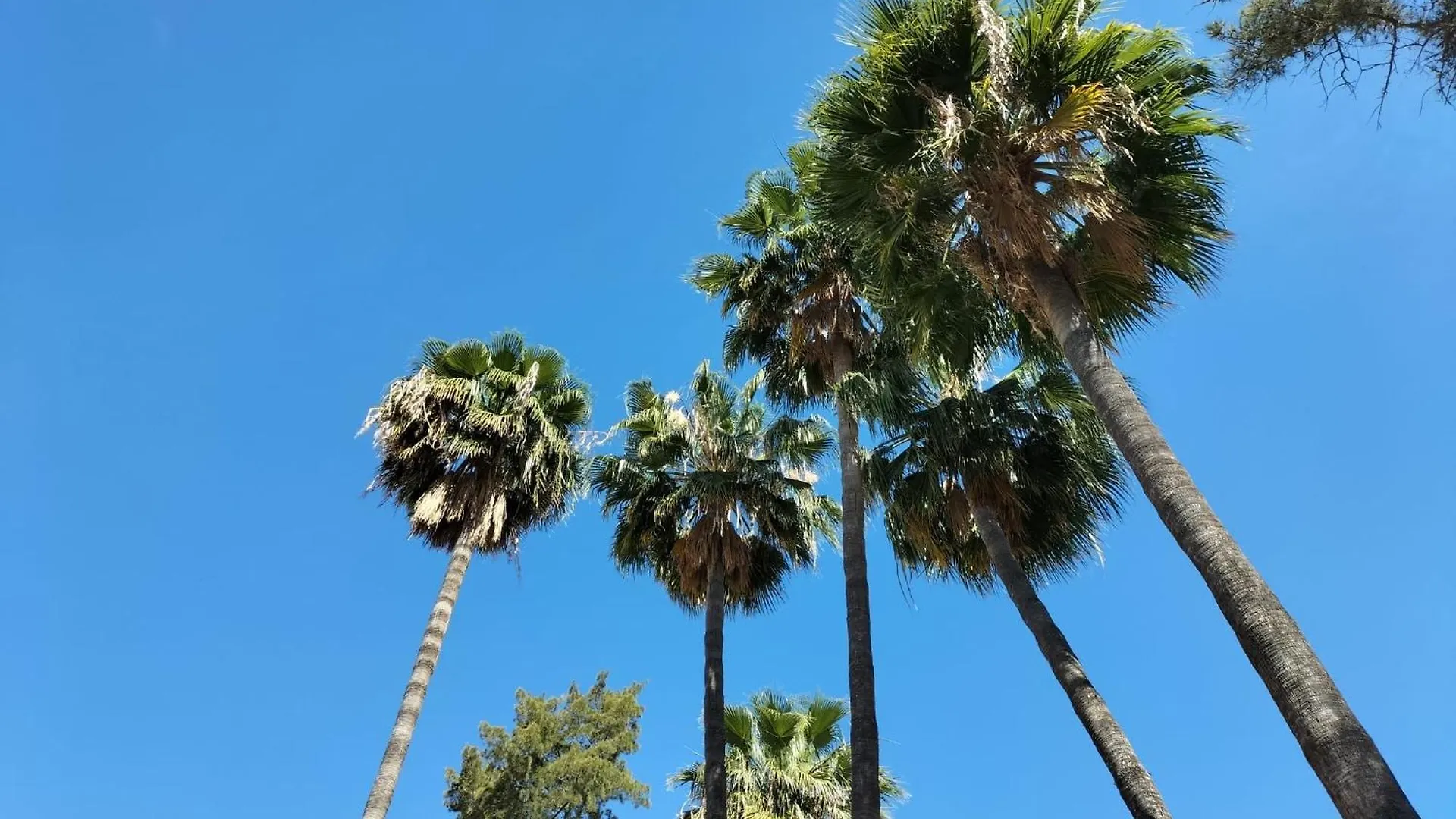 Гостевой дом Отель Vas Malaga Ciudad